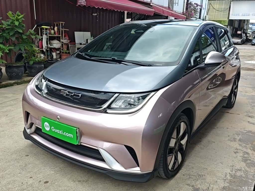 BYD Dolphin, 2023 1
