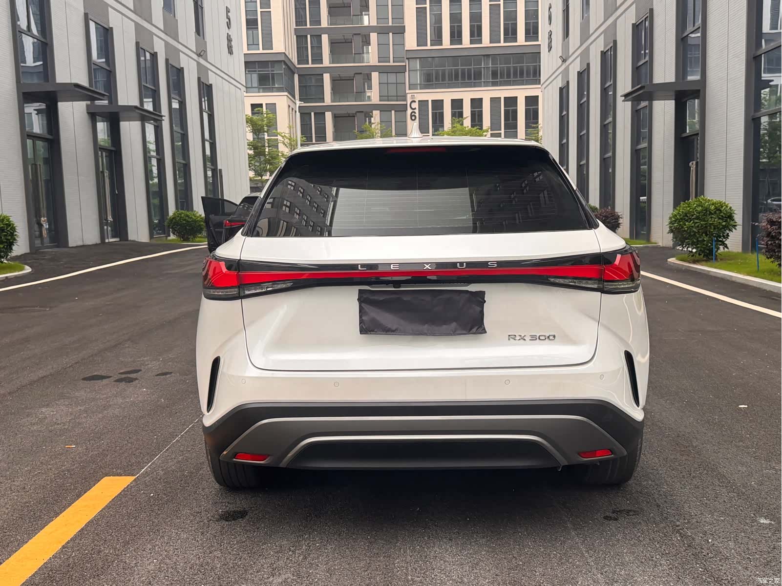 Lexus RX, 2025 8
