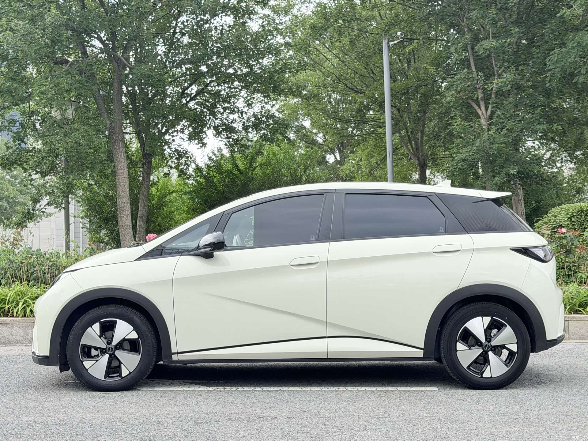 BYD Dolphin, 2023 4
