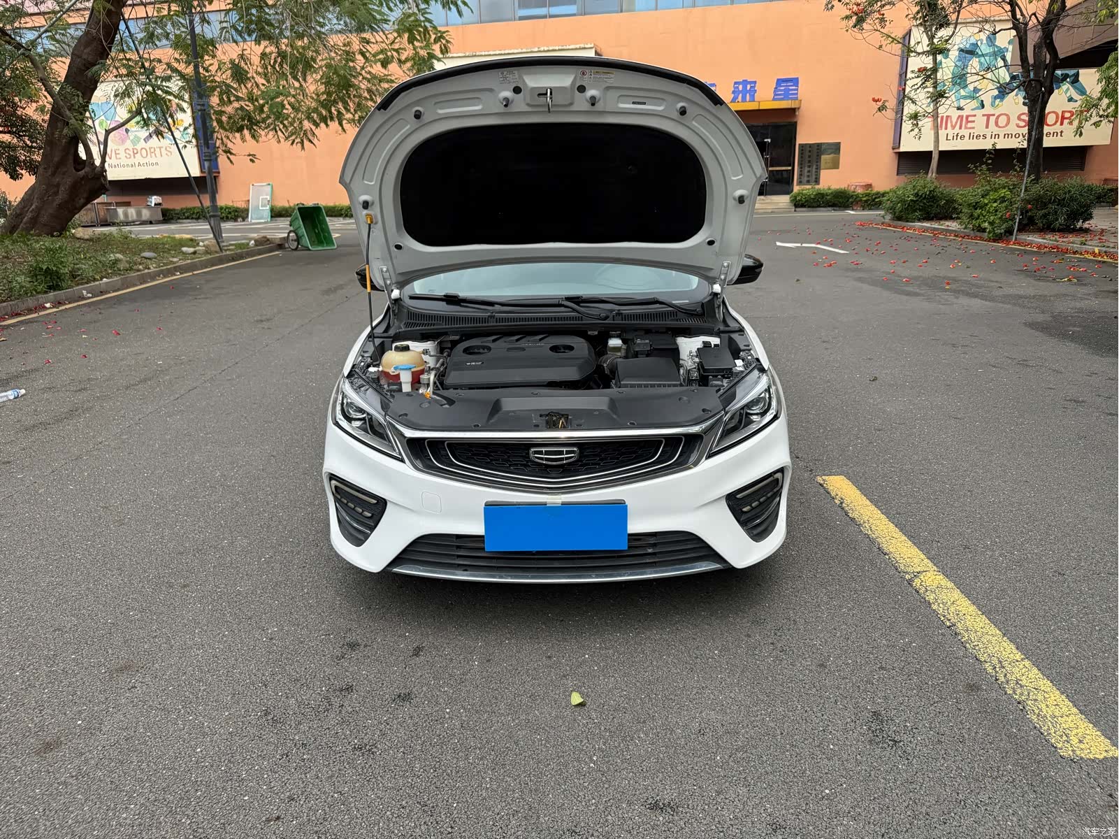 Geely Binray, 2020 16