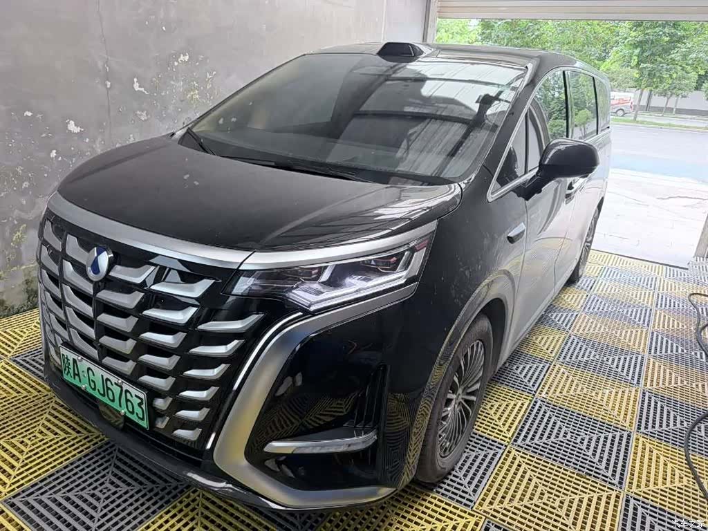 Denza D9