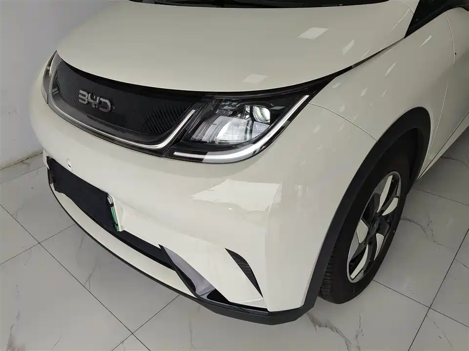 BYD dolphin
