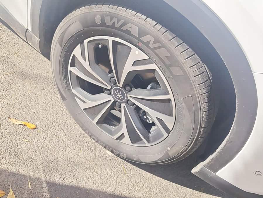 BYD Song Pro New Energy 2025, фото 6