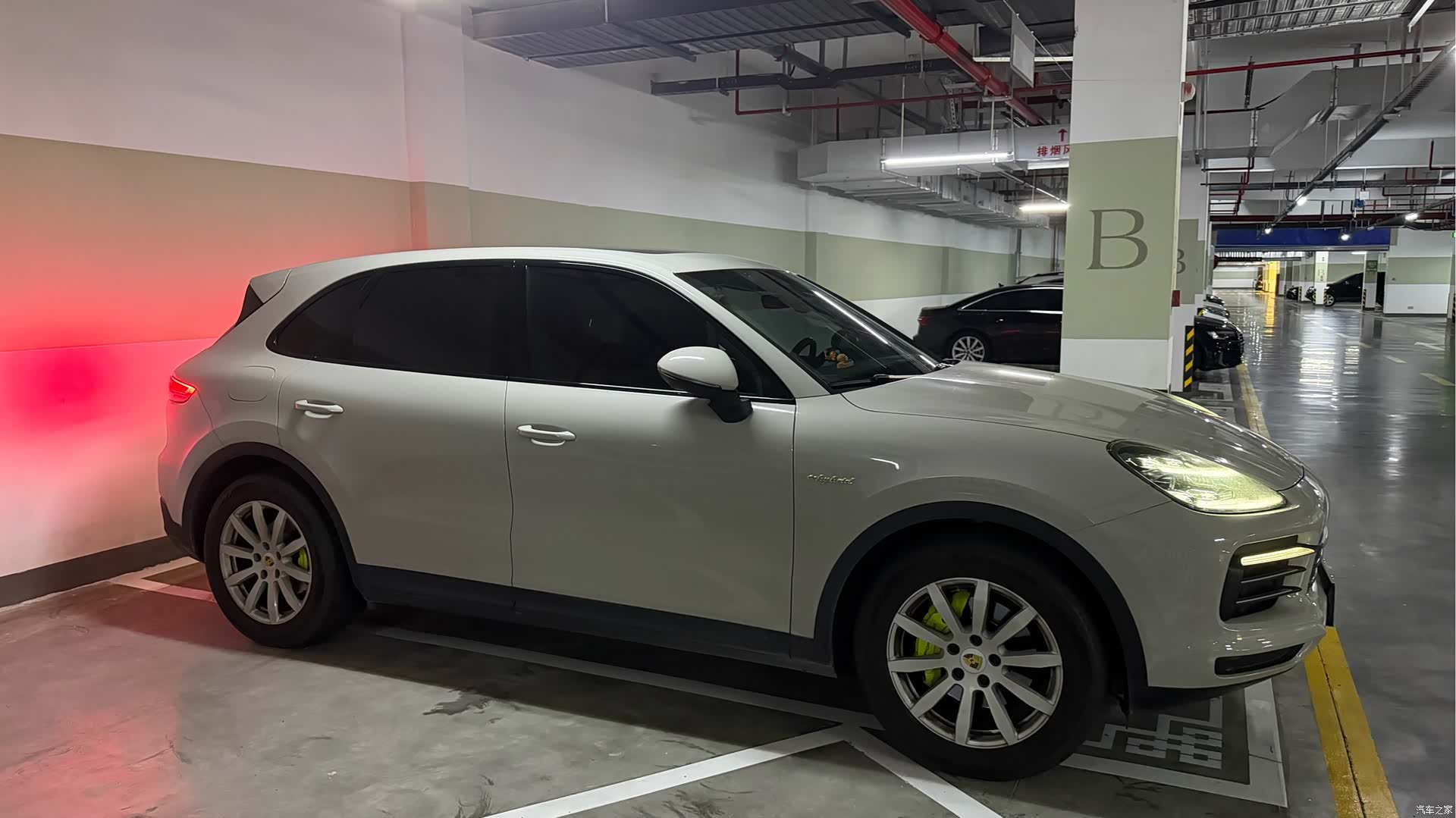 Porsche Cayenne, 2019 все фото