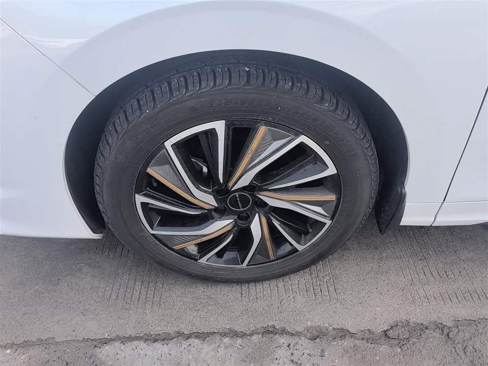 Forthing Popular yachts