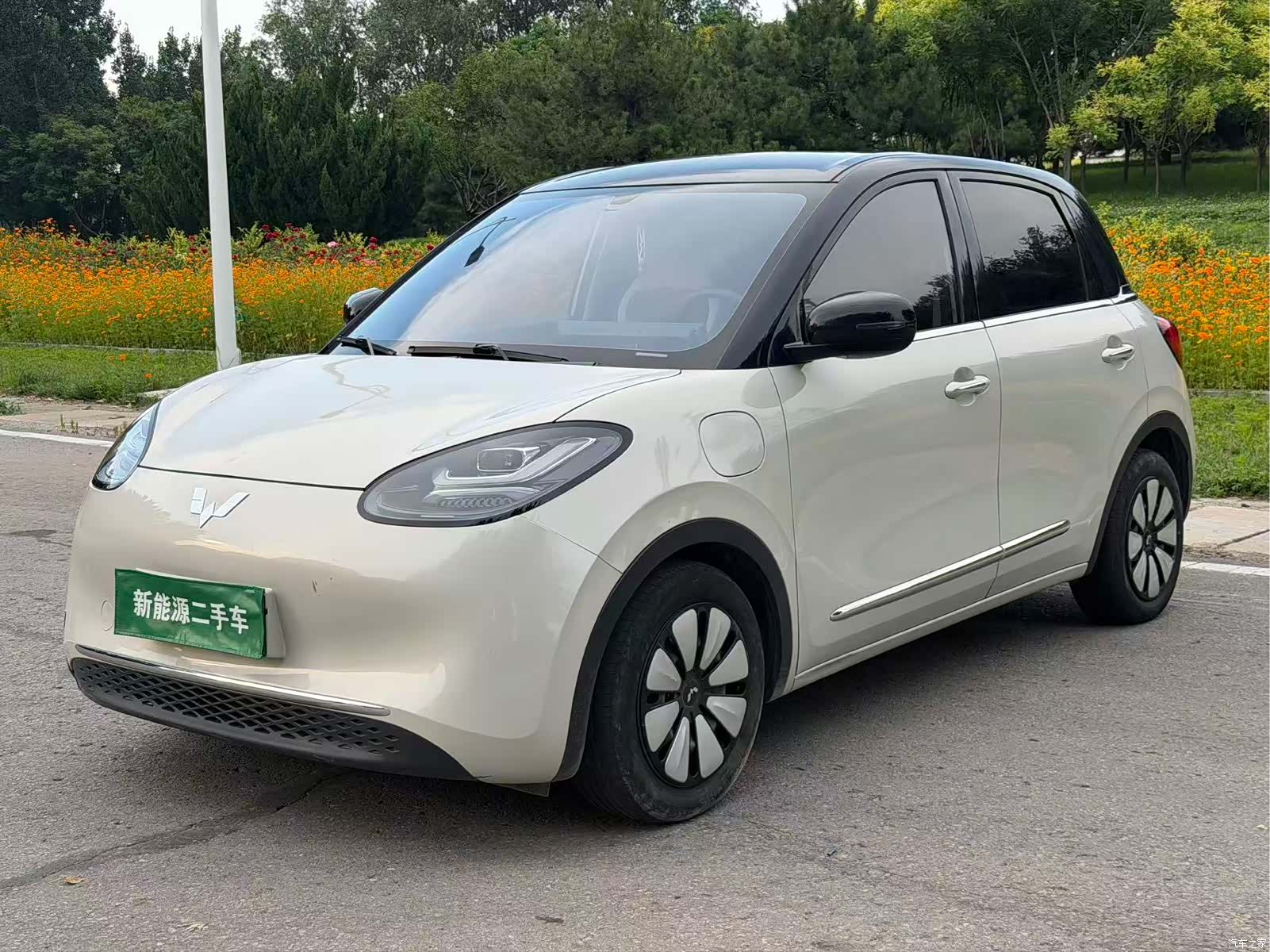 Wuling Bingo, 2024 1