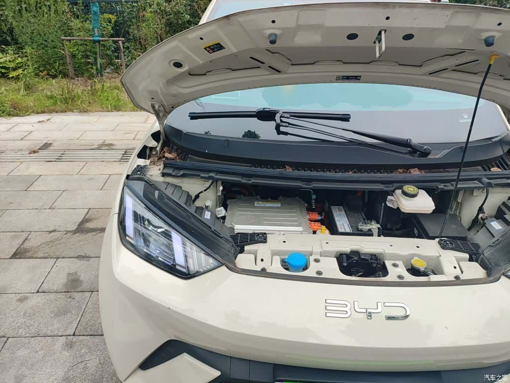 BYD Seagull, 2024 21