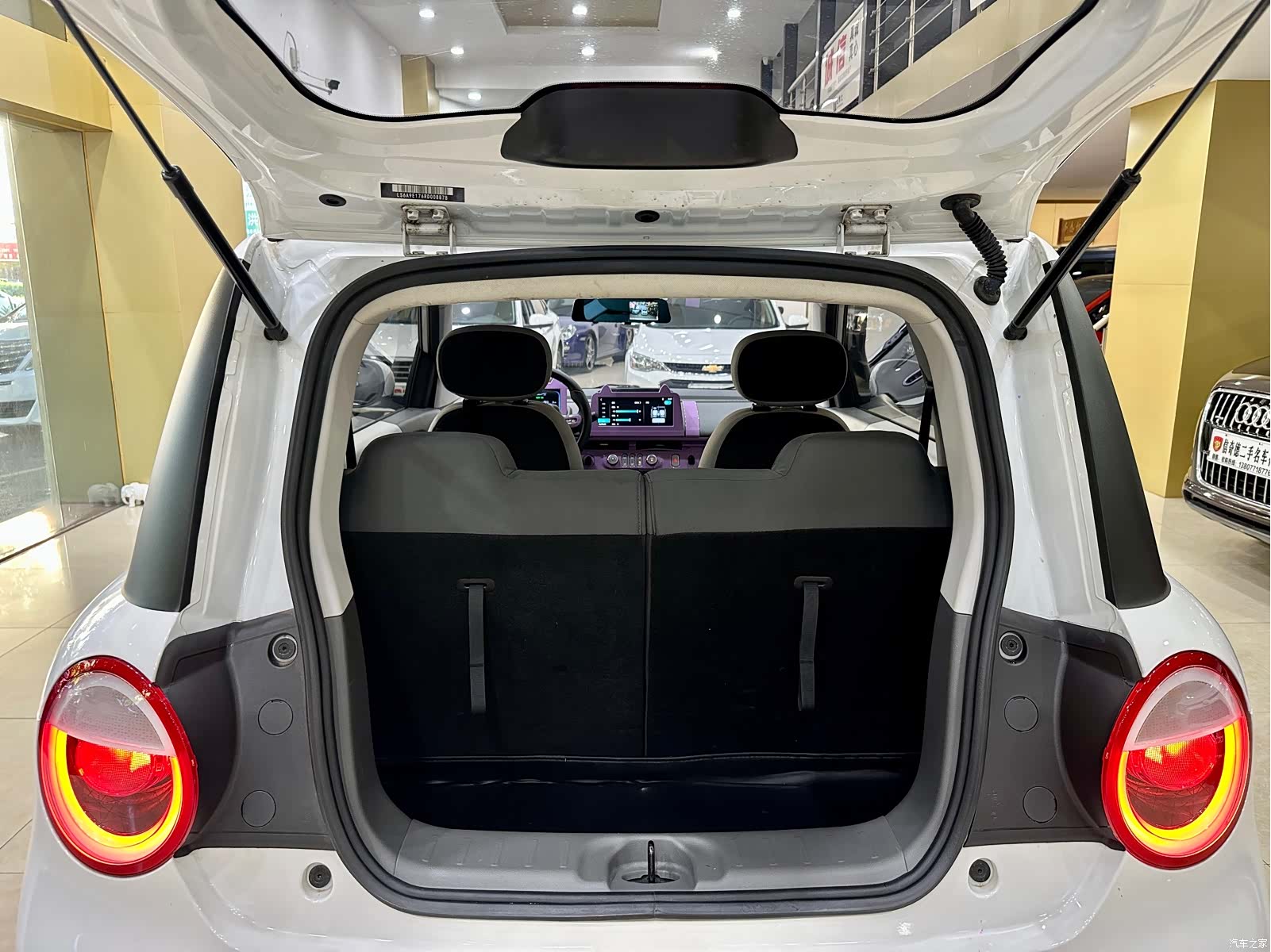 Changan Lumin, 2024 19