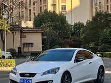 �Ͷ�˹-���� 2009�� 2.0T �Զ�������