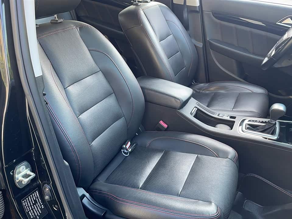 Leopaard Cheetah CS10