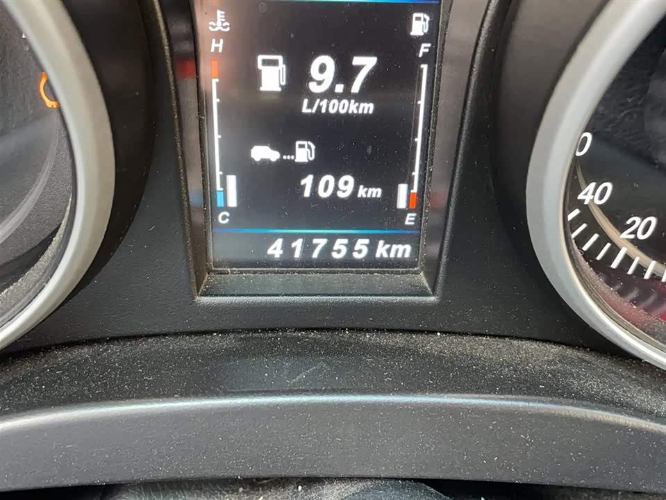 Leopaard Cheetah CS10