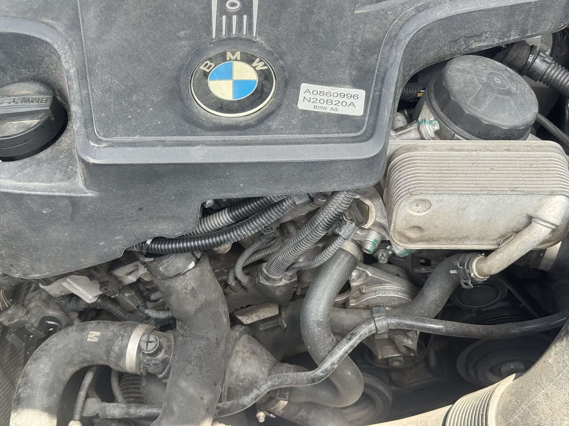 BMW X4, 2015 12