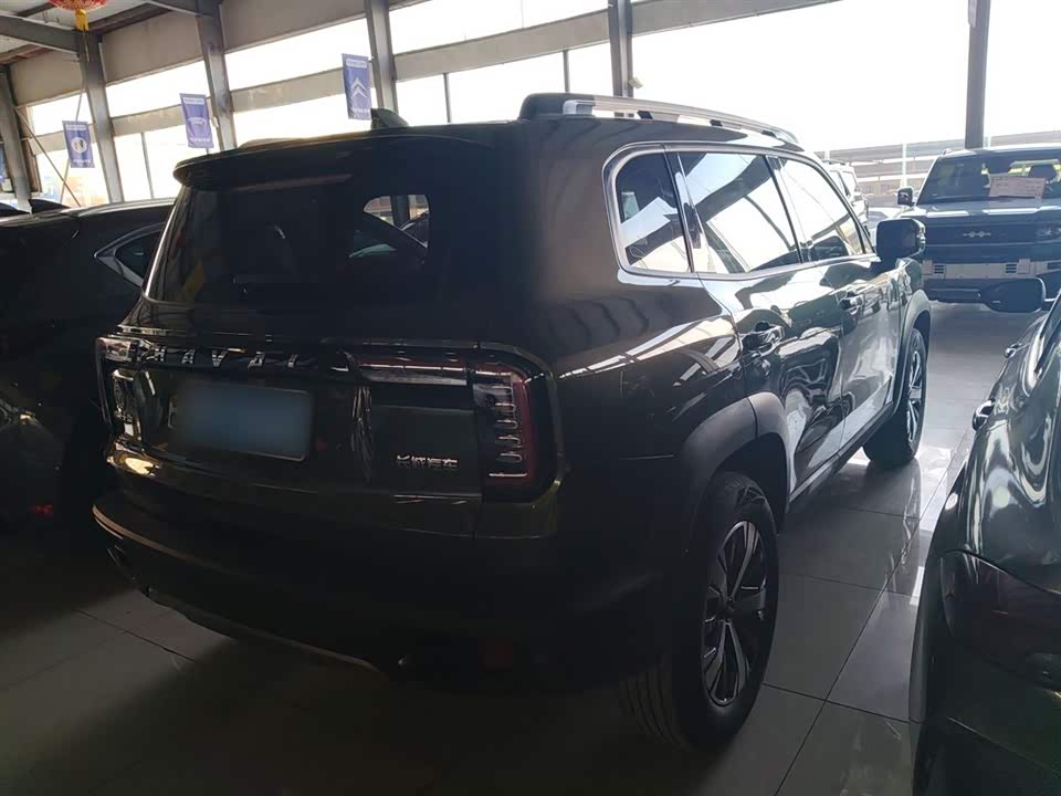 Haval Big dog