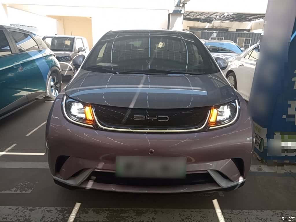 BYD Dolphin, 2022 3