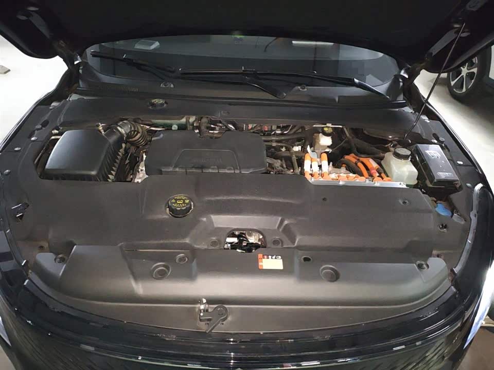 Wuling Wuling Starlight