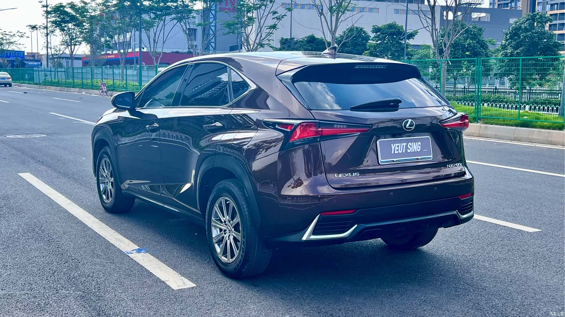 Lexus NX, 2019 все фото
