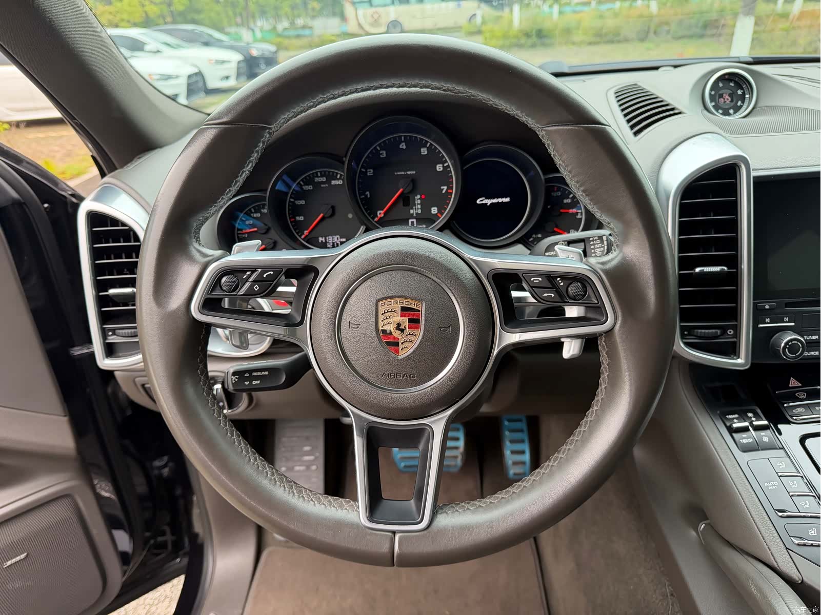 Cayenne Platinum, 2017 11