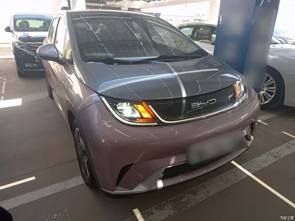 BYD Dolphin, 2022 4