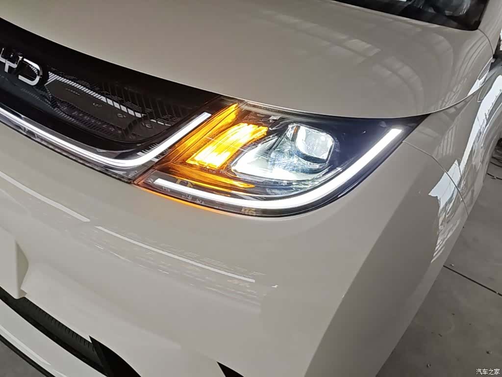 BYD Dolphin, 2026 24