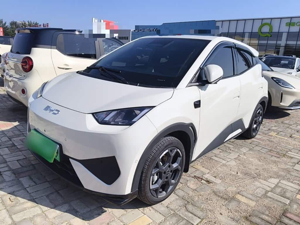 BYD Seagull