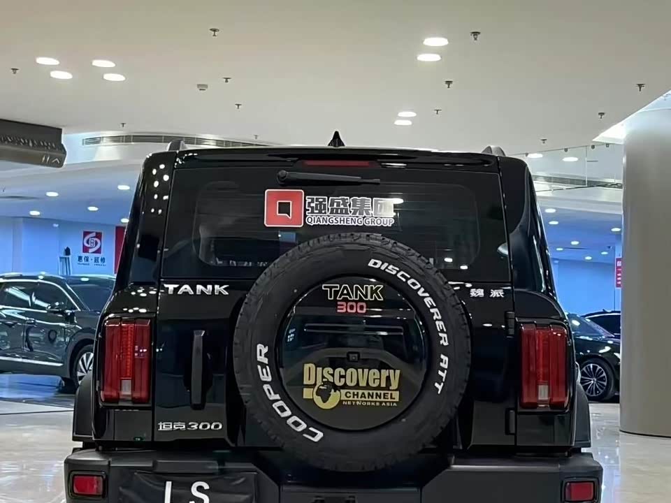 Tank 300
