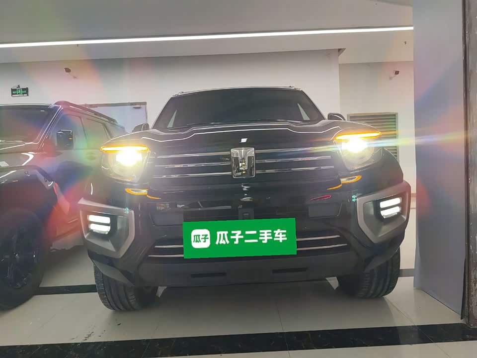 Tank 700 New energy