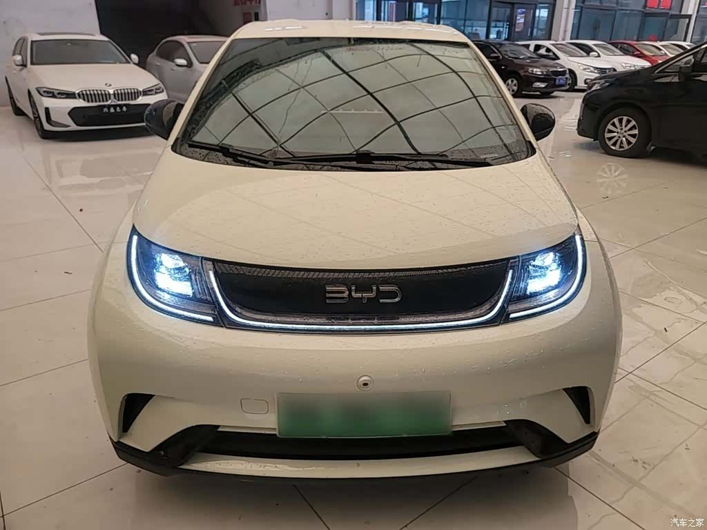 BYD Dolphin, 2024 3