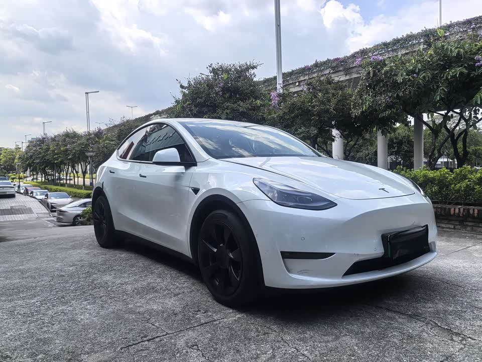 Tesla Model Y Tesla Model Y