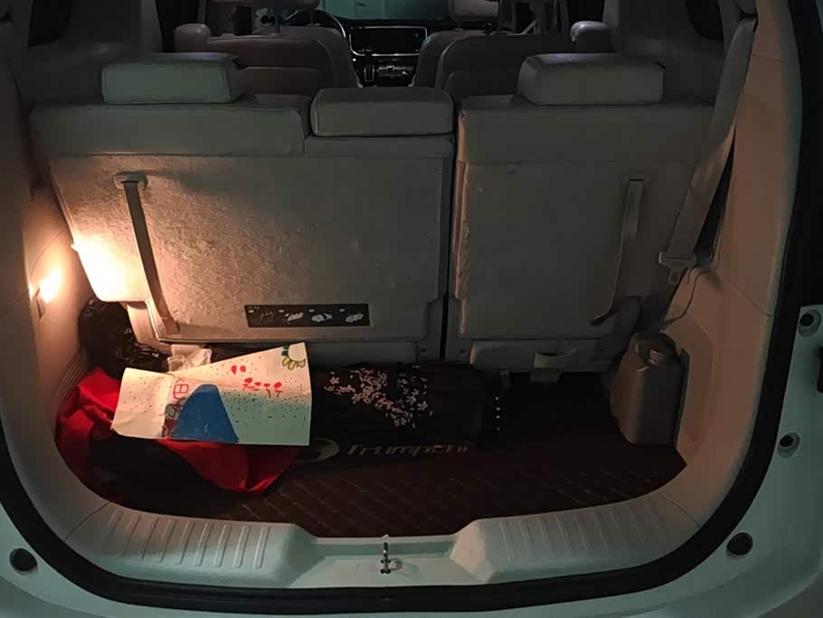 Trumpchi Trumpchi M8