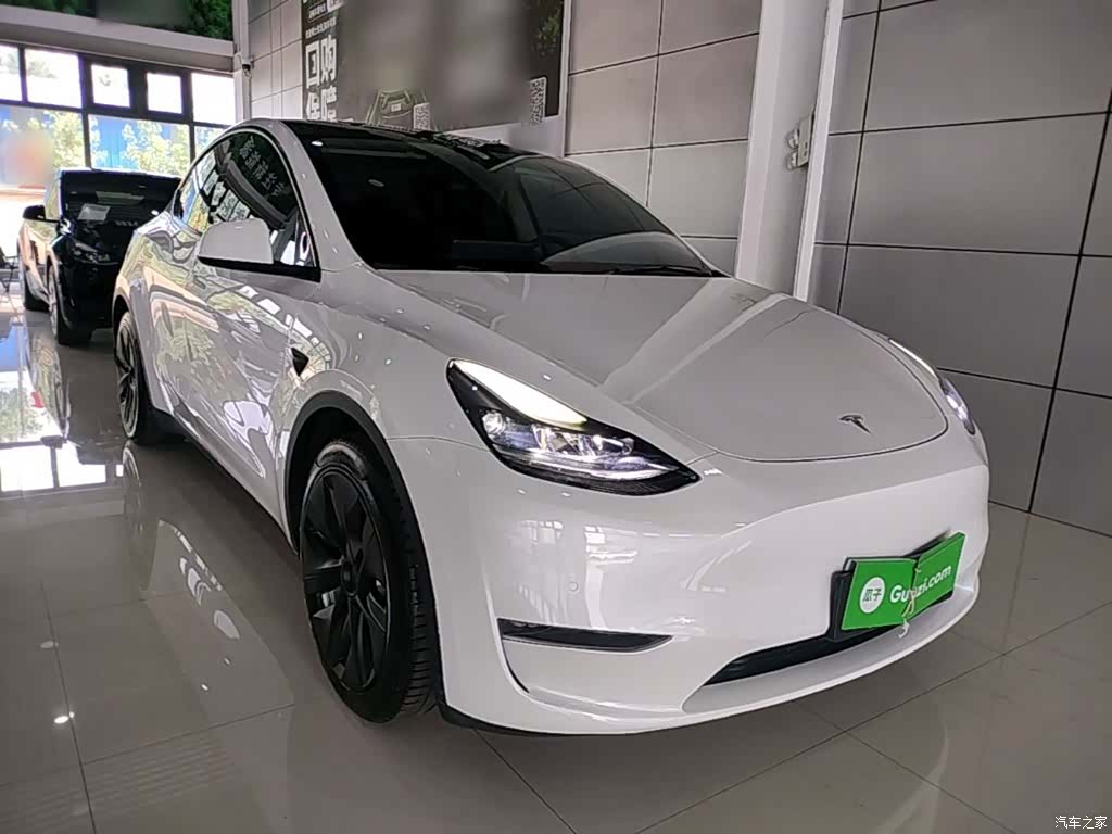 Tesla Model Y, 2021 4