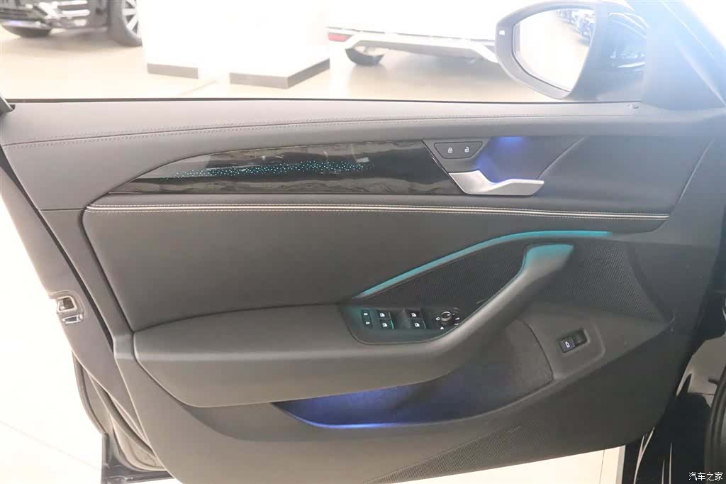 Volkswagen Magotan, 2024 17