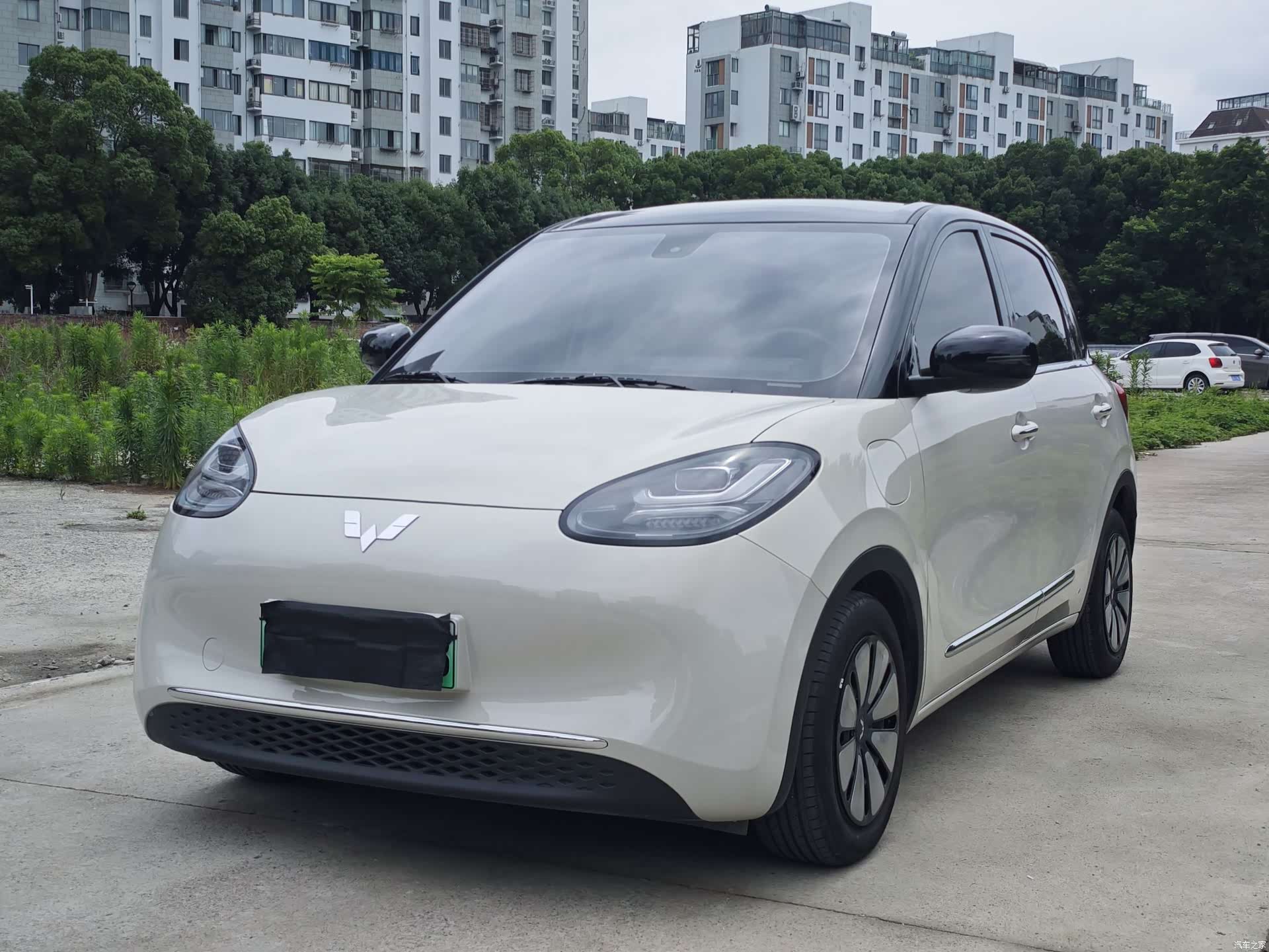 Wuling Bingo