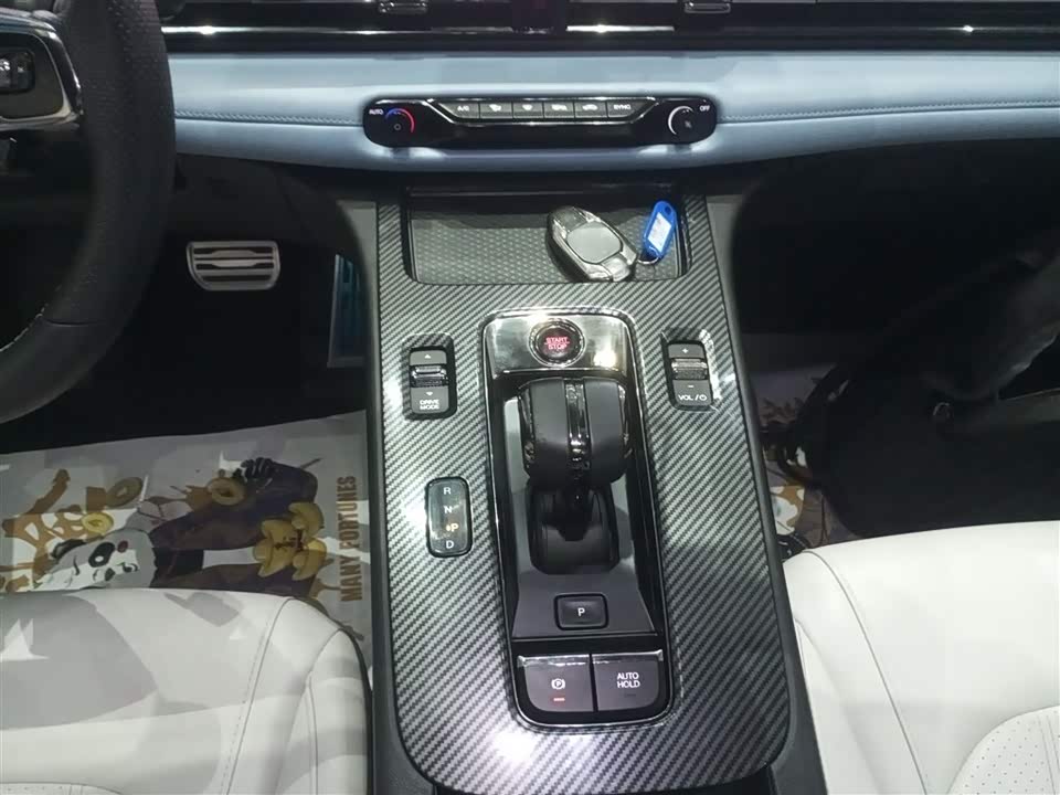 Trumpchi Shadow Leopard