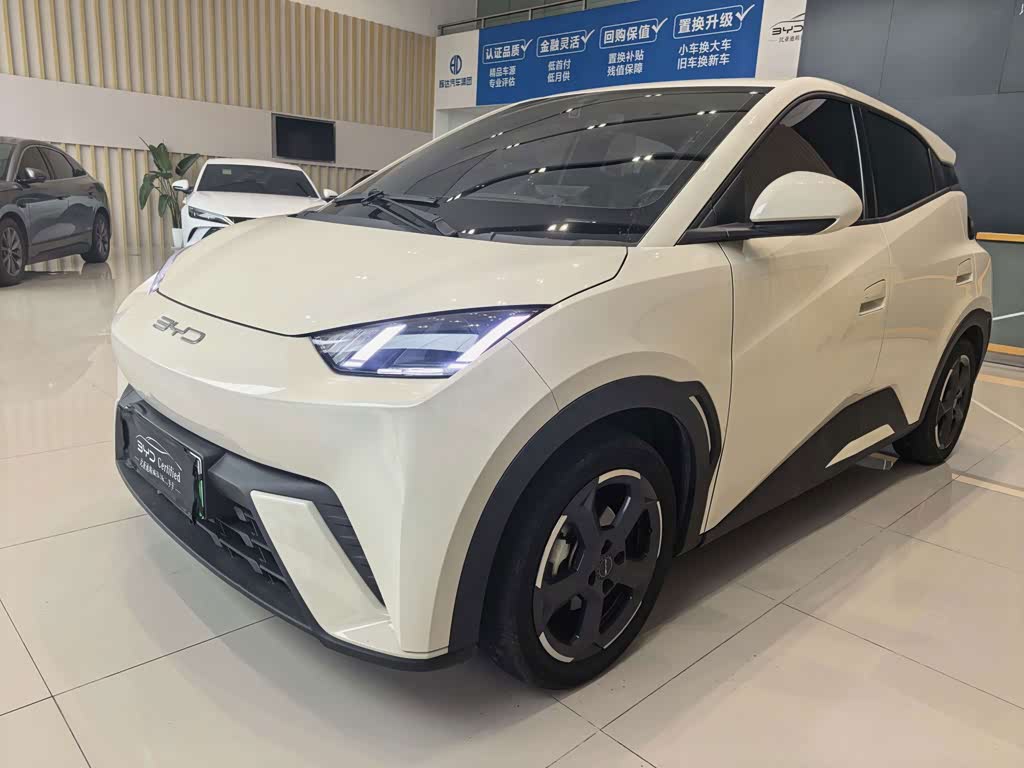 BYD Seagull