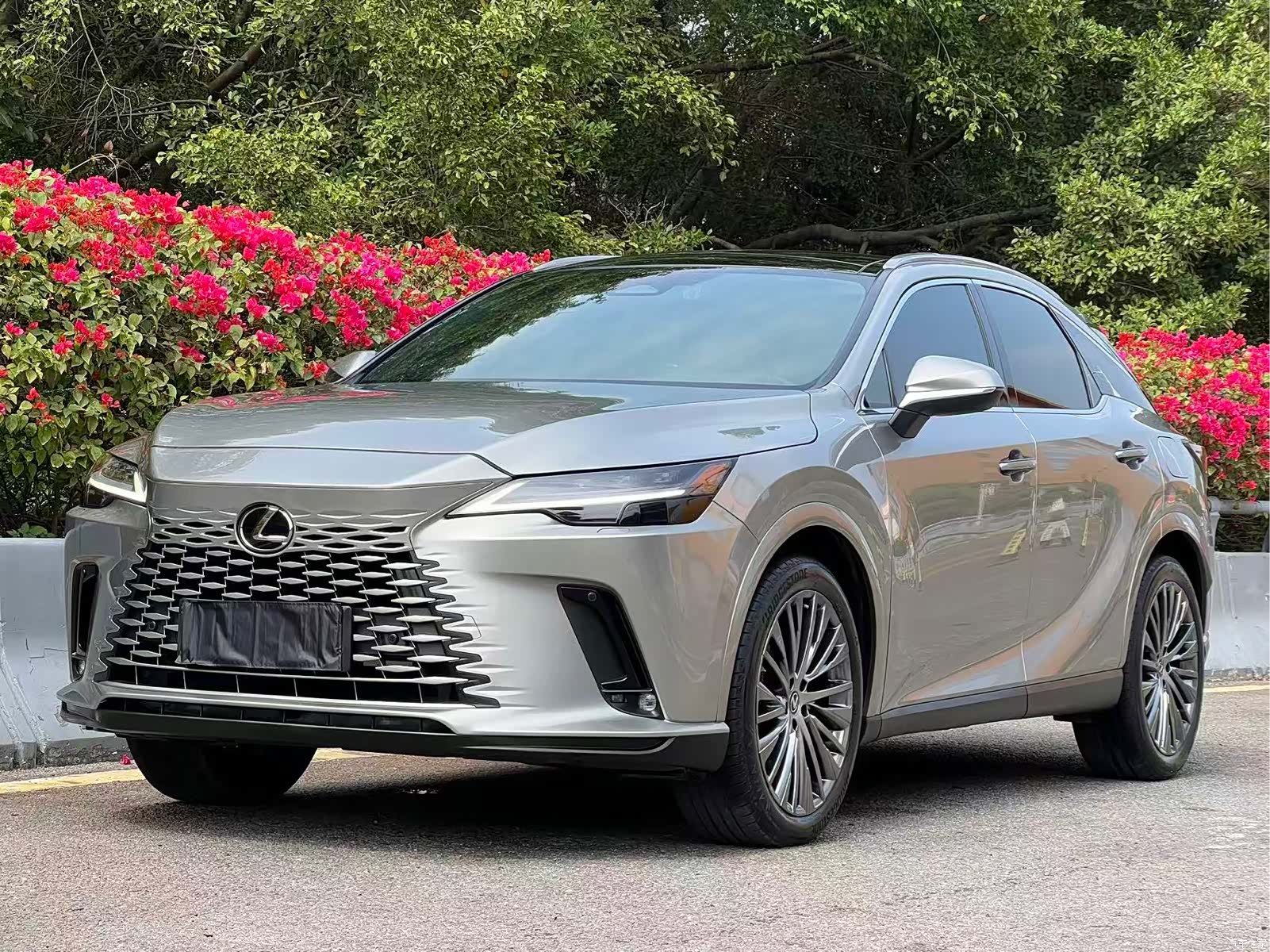 Lexus RX, 2023 1