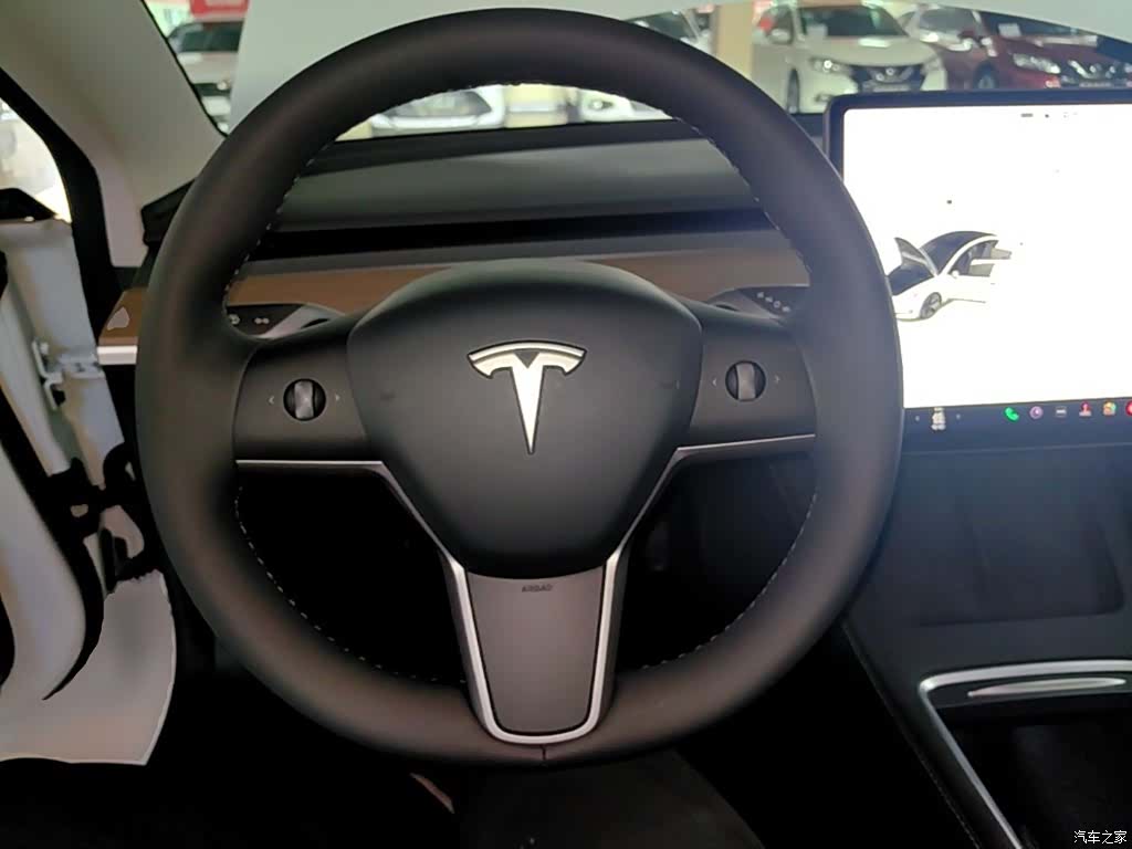 Tesla Model 3, 2021 11