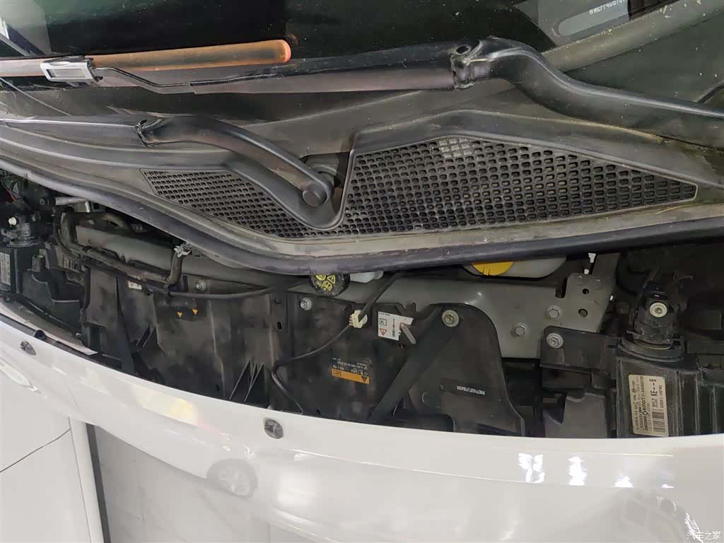 Smart Forfour, 2019 16