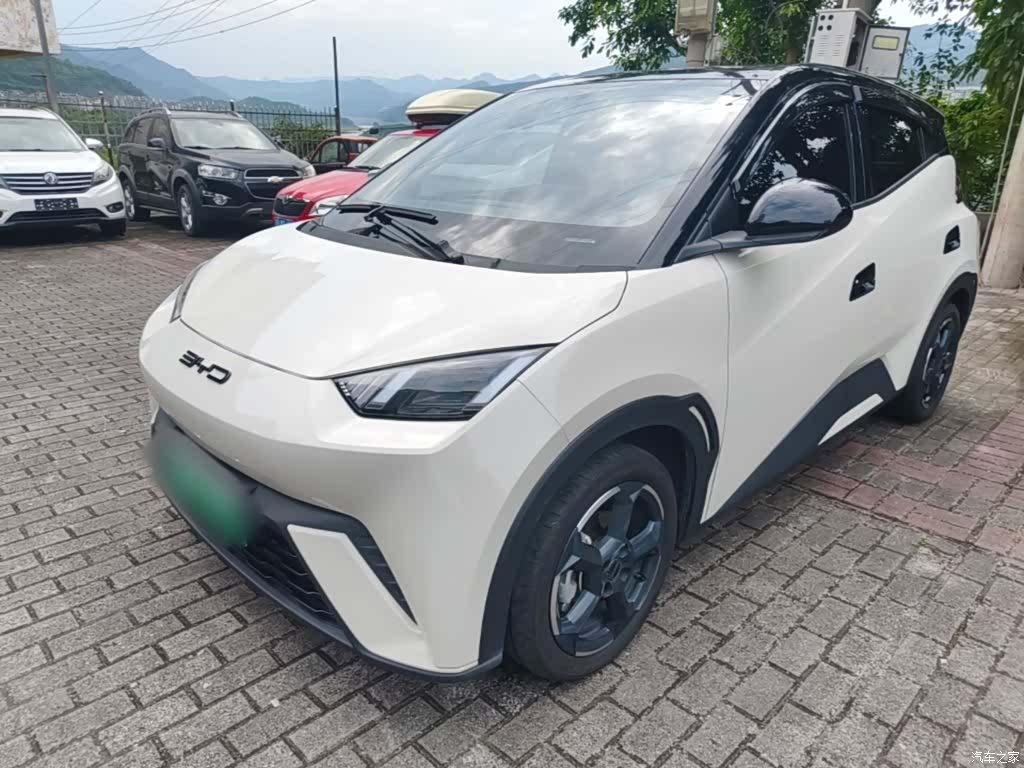 BYD Seagull, 2024 1