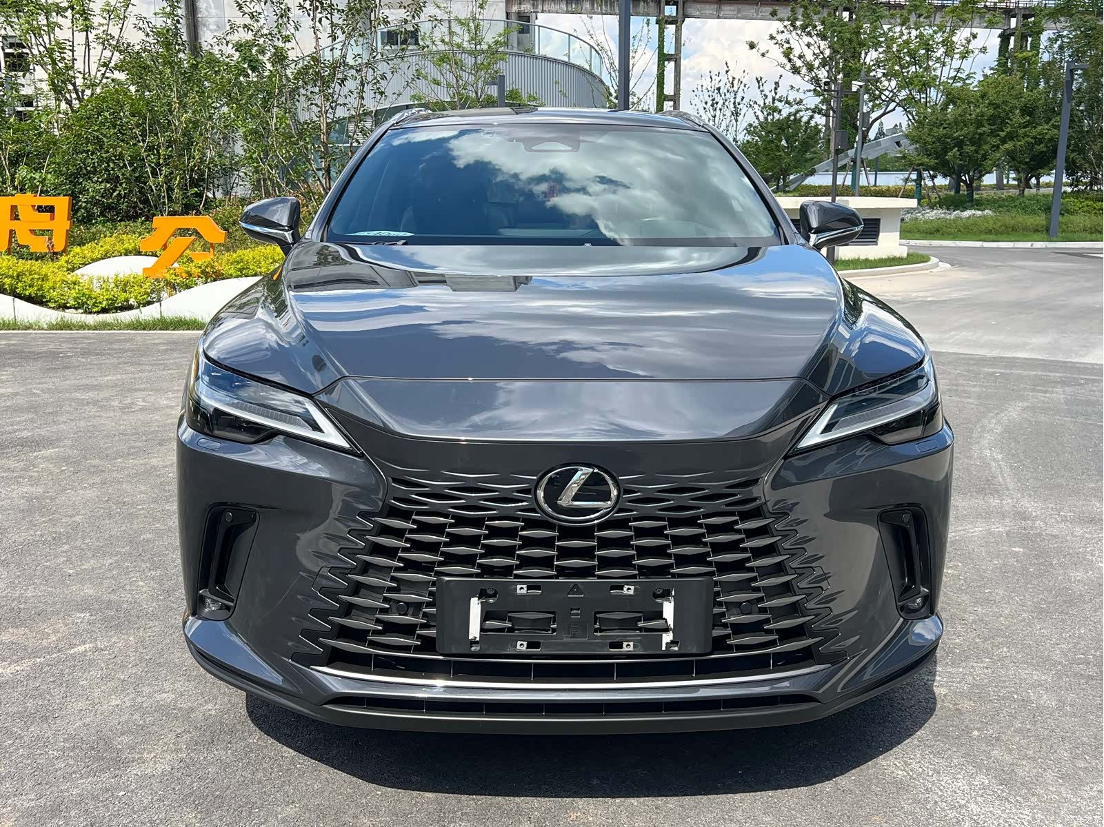Lexus RX, 2023 2
