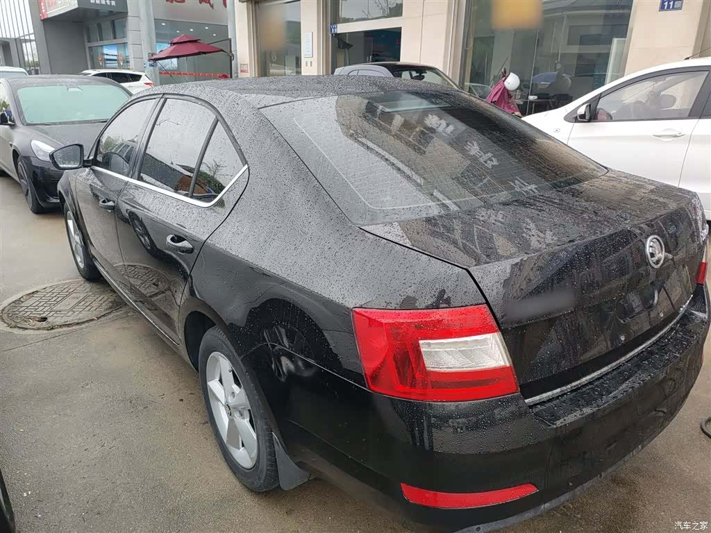 Skoda Octavia, 2015 все фото