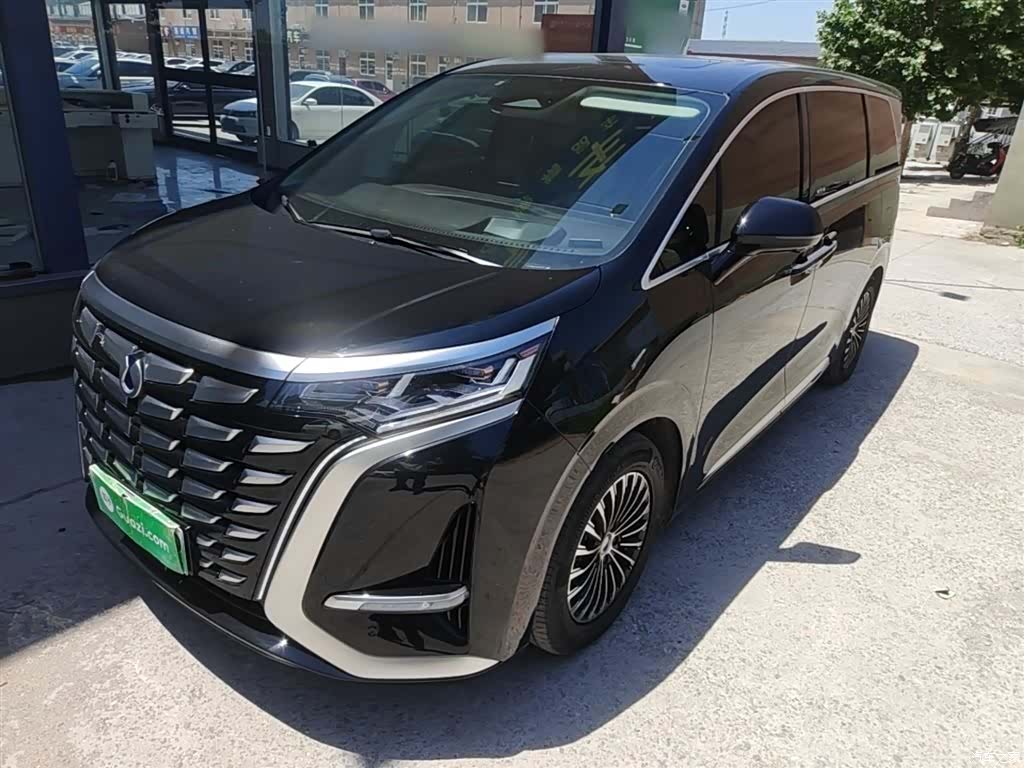 Denza D9, 2024 2