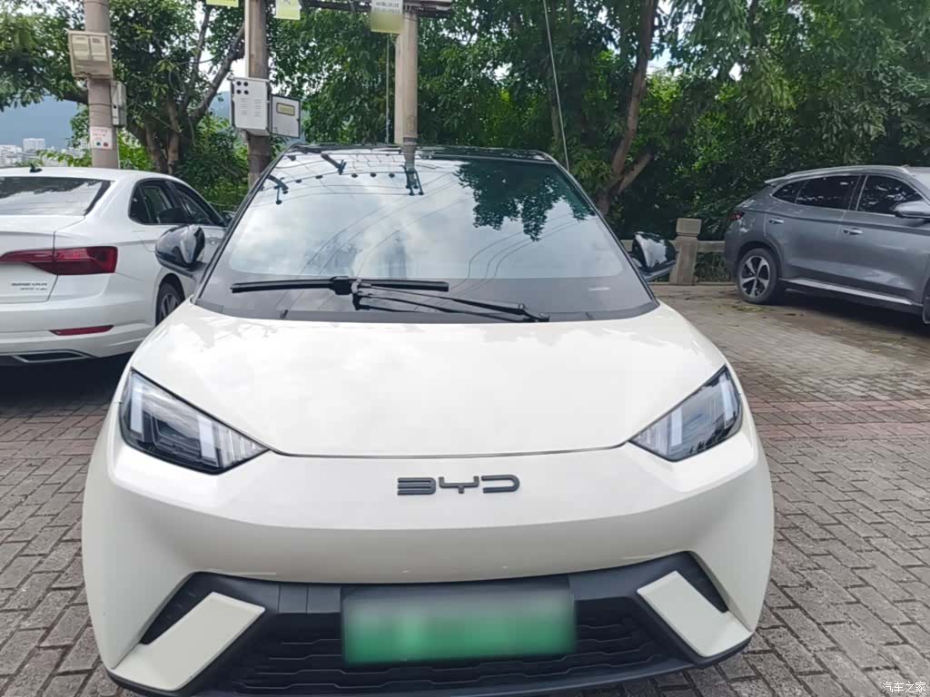 BYD Seagull, 2024 3