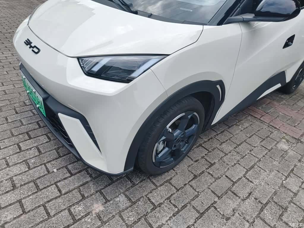 BYD Seagull, 2024 24