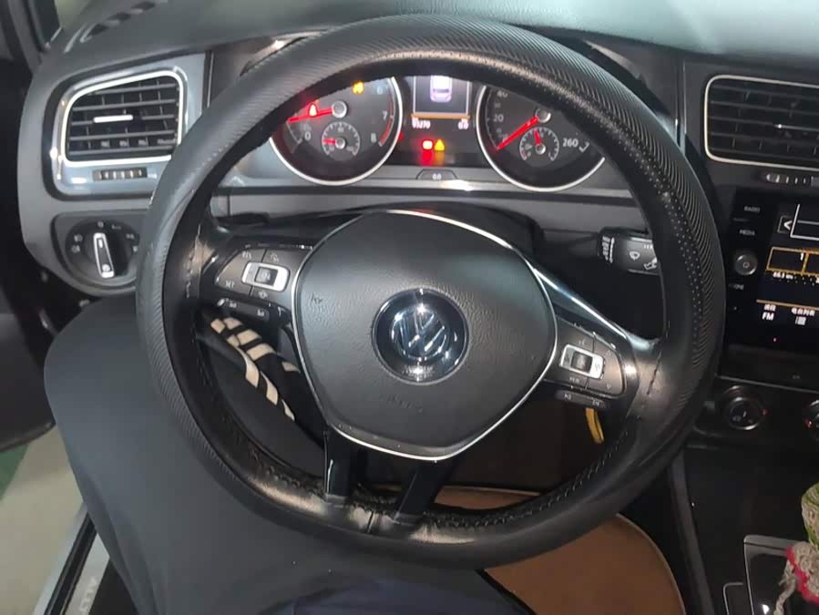 Volkswagen Golf 2019, фото 15