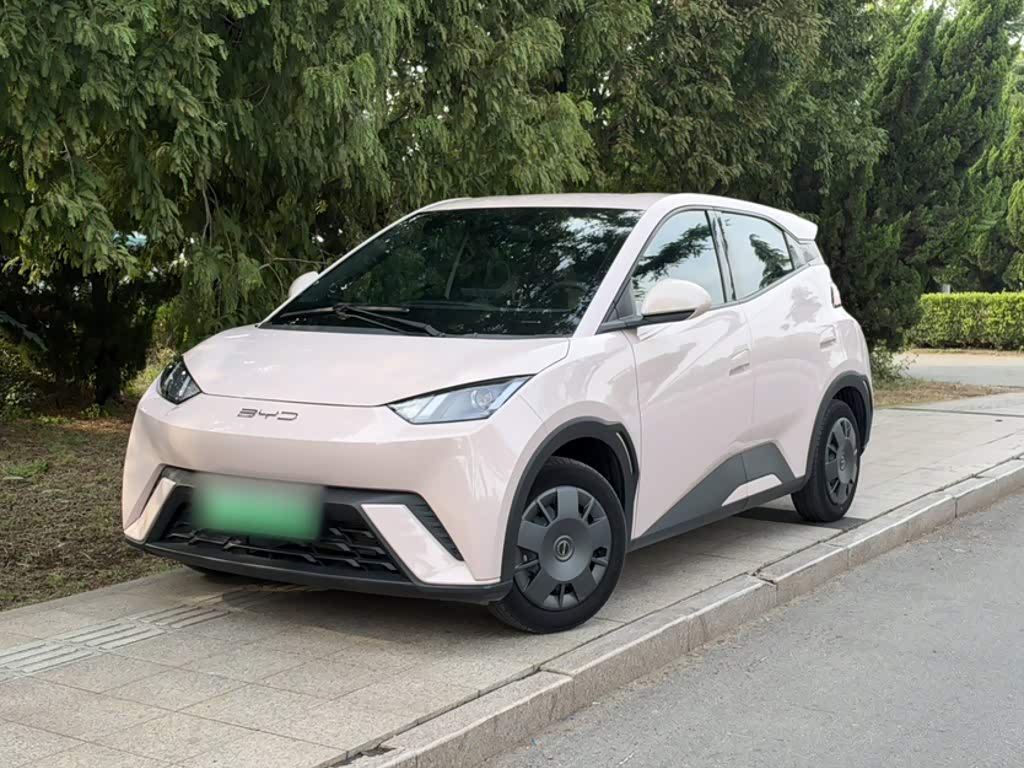 BYD Seagull