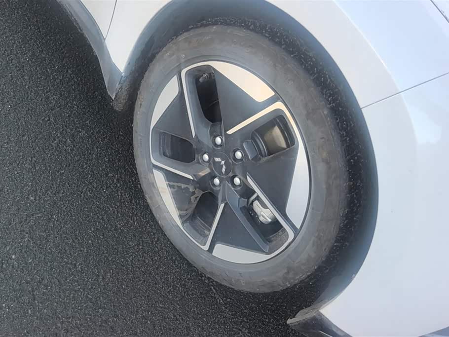 Wuling Wuling Starlight