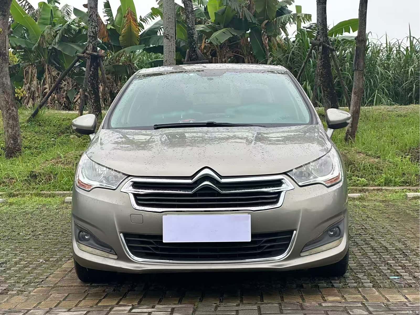 Citroen C4, 2014 2