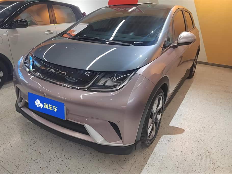 BYD dolphin