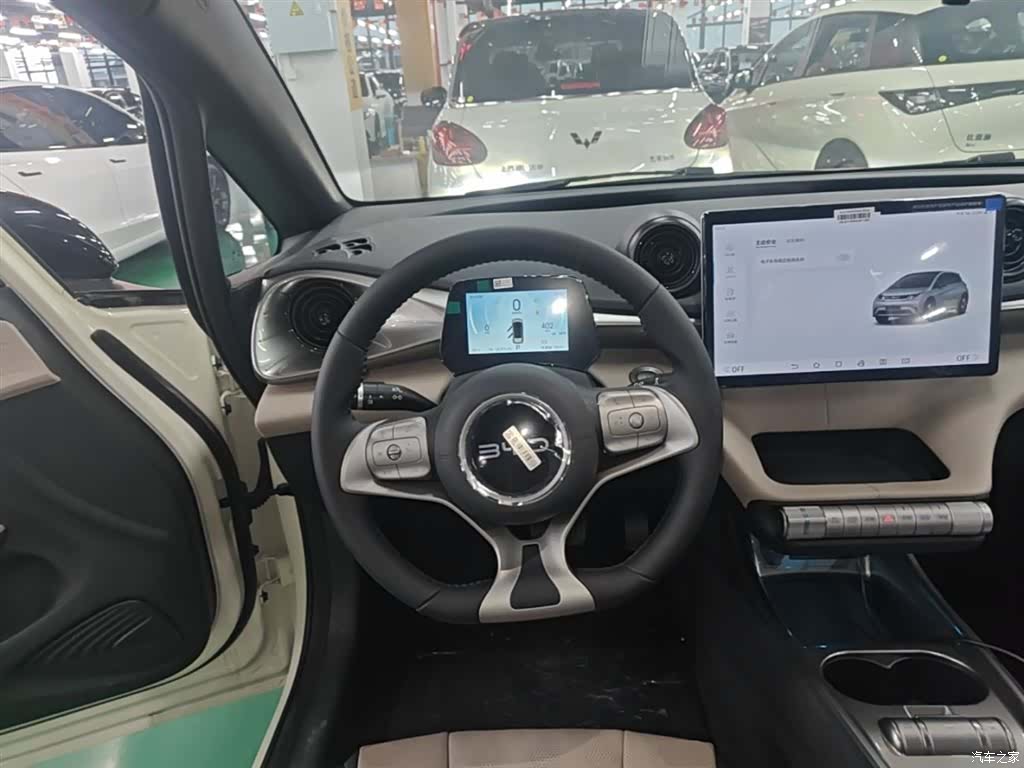 BYD Dolphin, 2026 11
