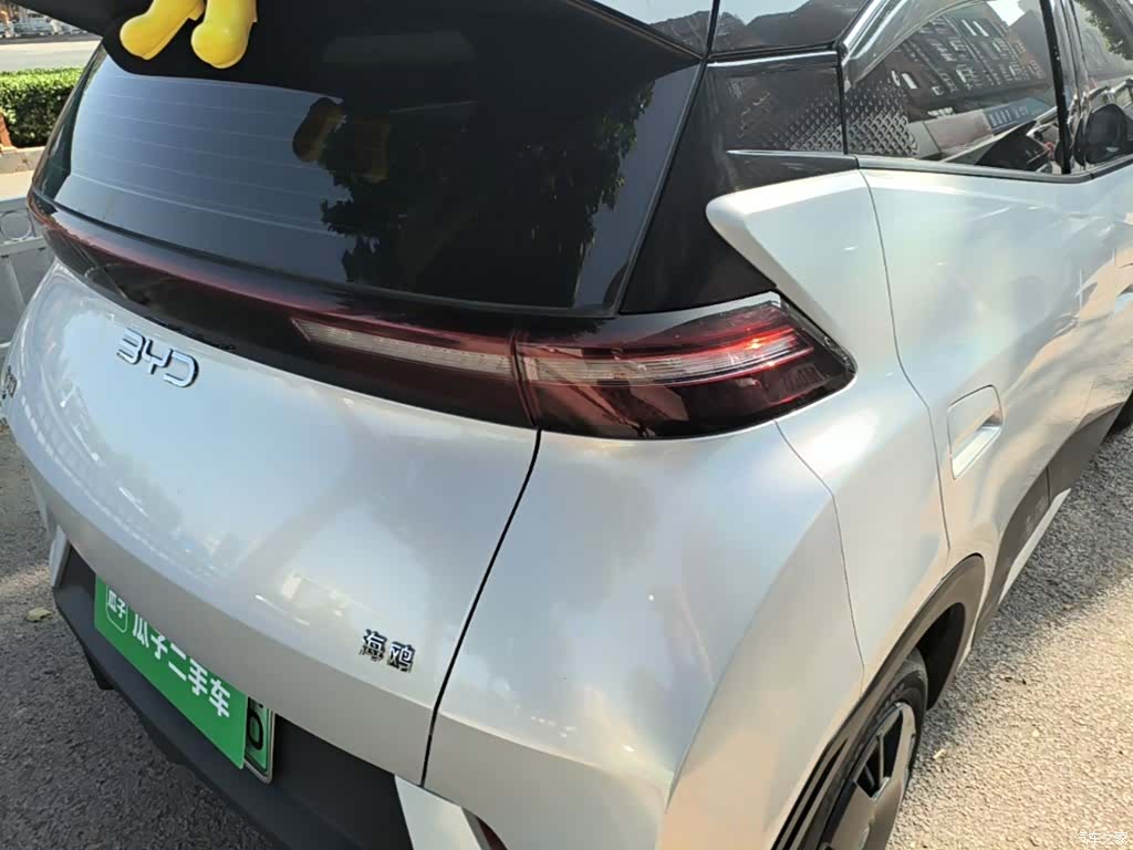 BYD Seagull, 2024 8